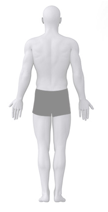 Anatomy male back