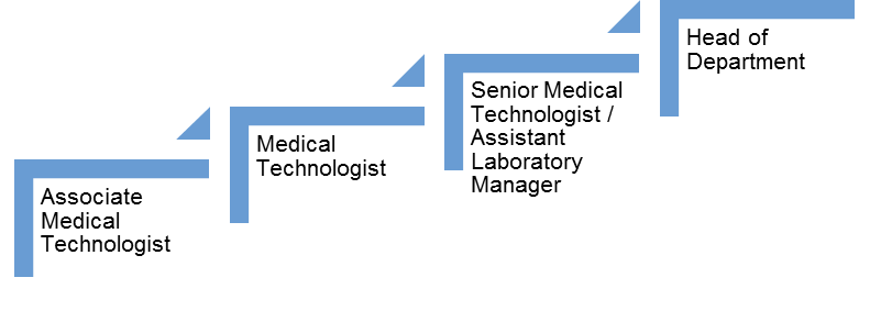 Career-pathway-lab_e20230606.png#asset:263916