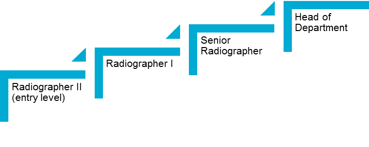 Career-pathway-radiology_e20230606.png#asset:263914