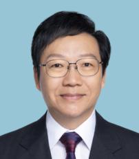 Dr  Lam Shu Yan David Chopped