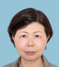 Dr  Myint Ma Wai Wai Blue Background Chopped