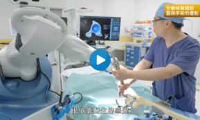 Dr Chan Hip Replacement