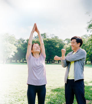 Free Programme Banner Lung 320X360