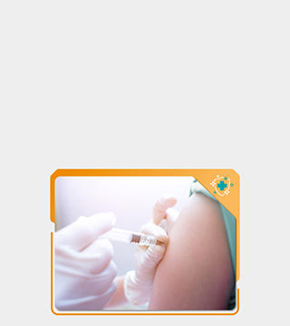 Web Banner 02 Mobile 320X360Px