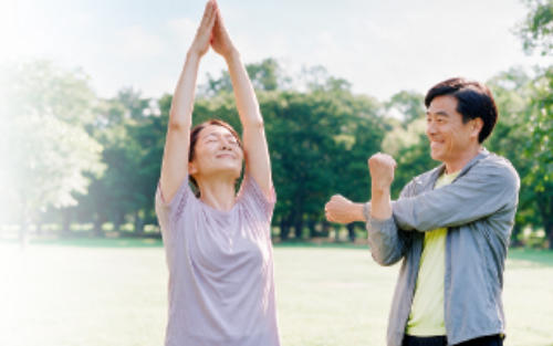Free Programme Banner Lung 320X360
