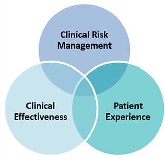 Clinical Governance Scale