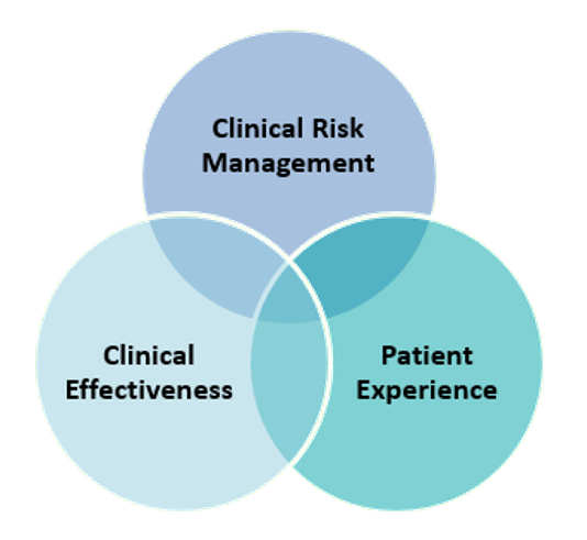 clinical-governance_white.png#asset:194898